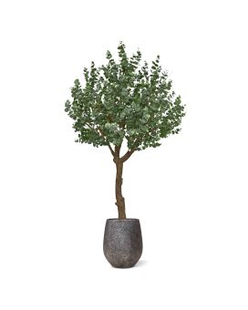 Eucalyptus Kunstboom XL 300cm
