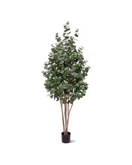 Eucalyptus Kunstboom 205cm