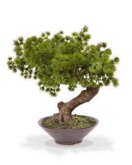 Pinus Bonsai kunstplant in schaal 40cm