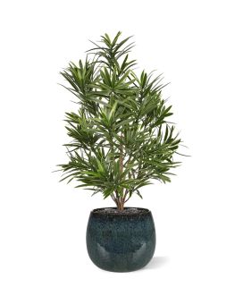 Podocarpus kunstboeket 50 cm UV