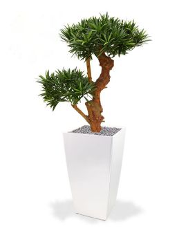 Podocarpus Bonsai deluxe kunstplant 65cm - UV bestendig