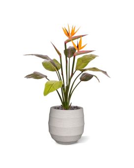 Strelitzia kunstplant 75cm