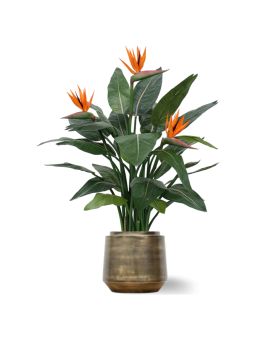 Strelitzia kunstplant deluxe 115cm