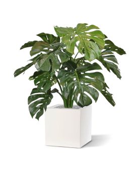 Monstera deluxe kunstplant 75cm - FR - brandvertragend