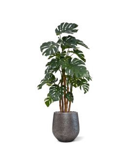 Monstera deluxe x5 kunstplant - 180cm