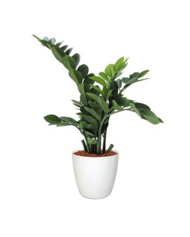 Zamioculcas kunstplant 65cm