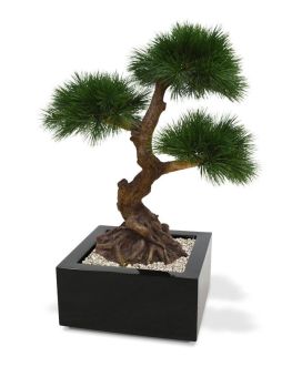 Pinus Bonsai x3 kunstplant 60cm