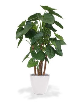 Alocasia Calidora deluxe kunstplant 165cm