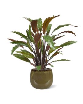 Calathea Red kunstplant 60cm