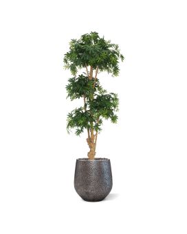 Acer Bonsai deluxe kunstboom 170cm - groen