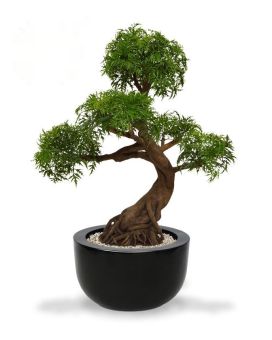 Ming Aralia Bonsai kunstboom op voet 90cm - groen - UV bestendig