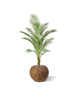 Areca kunstpalm 140cm