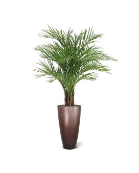 Areca Kunst Palm Deluxe XL 150cm