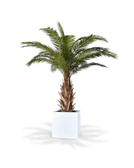 Phoenix Canarie kunstpalm XXL op voet 300cm