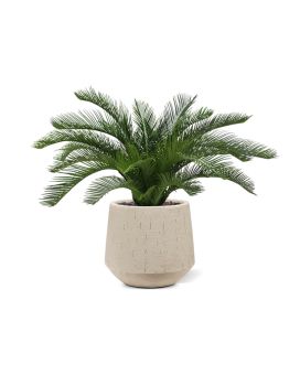 Cycas deluxe kunstpalm 60cm