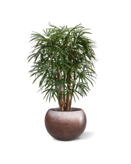 Raphis kunstpalm XL deluxe 130cm