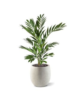 Parlour kunstpalm deluxe 90cm