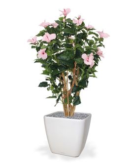 Hibiscus deluxe 100cm - roze
