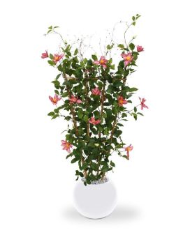 Clematis kunstheg 125cm - rose