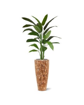 Heleconia kunstplant 170cm - groen