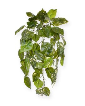 Pothos kunst hangplant deluxe 70cm - bont