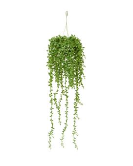 Senecio kunst hangplant 60cm