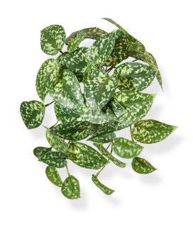 Pictus kunst hangplant 25cm - bont