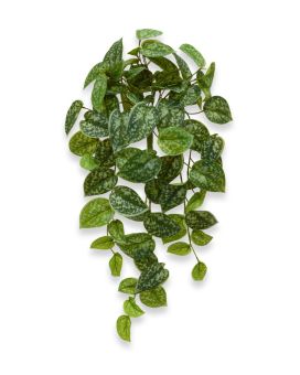 Scindapsus Pictus kunst hangplant 60cm