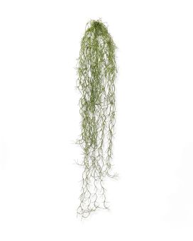 Tillandsia kunsthanger 75cm