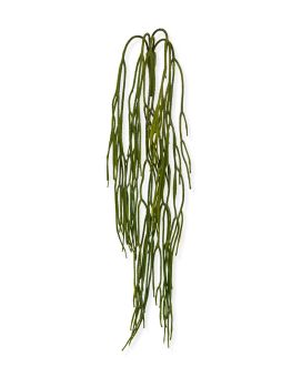Rhipsalis Pilocarpa kunsthanger 65cm