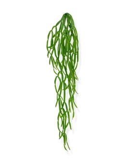 Rhipsalis Paradoxa kunst hangplant 75cm