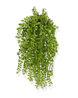 Dischidia kunst hangplant 40cm - UV bestendig