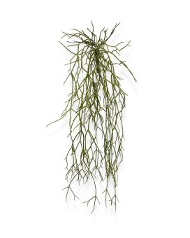 Rhipsalis Micrantha kunsthanger 55cm