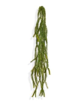 Asparagus Foxtail kunsthanger 60cm - groen