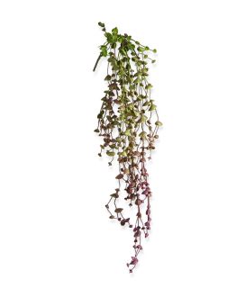 Erwten kunst hangplant 60cm - burgundy