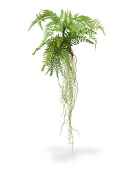 Tillandsia Varen kunst hangplant 90cm