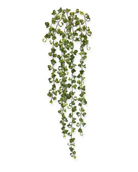 Peperomia Prostrata kunst hangplant 80cm