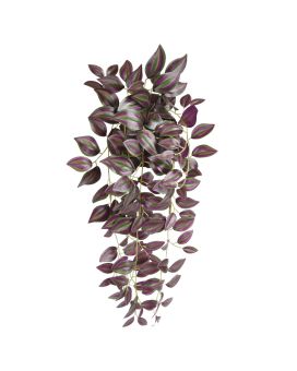 Tradescantia Zebrina kunsthanger 40cm