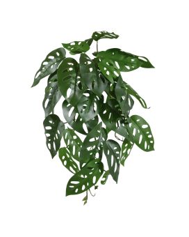 Monstera Adansonii Kunsthangplant 35cm