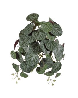 Saxifraga kunst hangplant 45cm - groen/rood