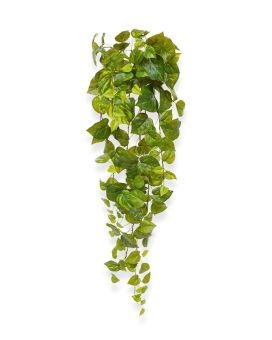 Pothos kunsthanger 90cm - bont