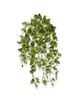 Peperomia Kunst hangplant bont 50cm