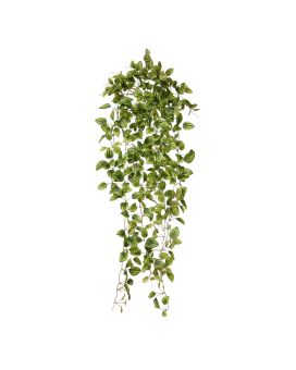 Peperomia Kunsthangplant bont 90cm