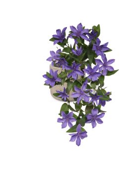 Clematis kunst hangplant 60cm Blauw