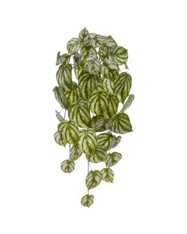 Peperomia Gold Dust kunst hanger 65cm bont