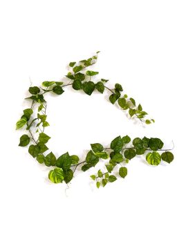 Pothos kunst guirlande 180cm - bont
