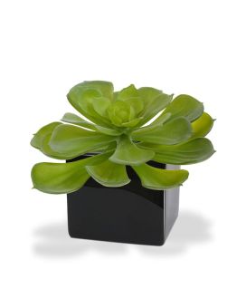 Echeveria Setosa kunstplant