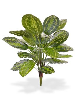 Calathea Roseopicta kunstplant 65 cm boeket