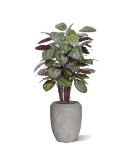 Calathea Roseopicta kunstplant Deluxe 125cm rood