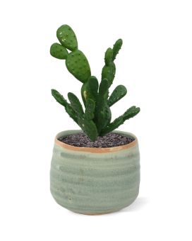 Mini Cactus kunstplant 20cm